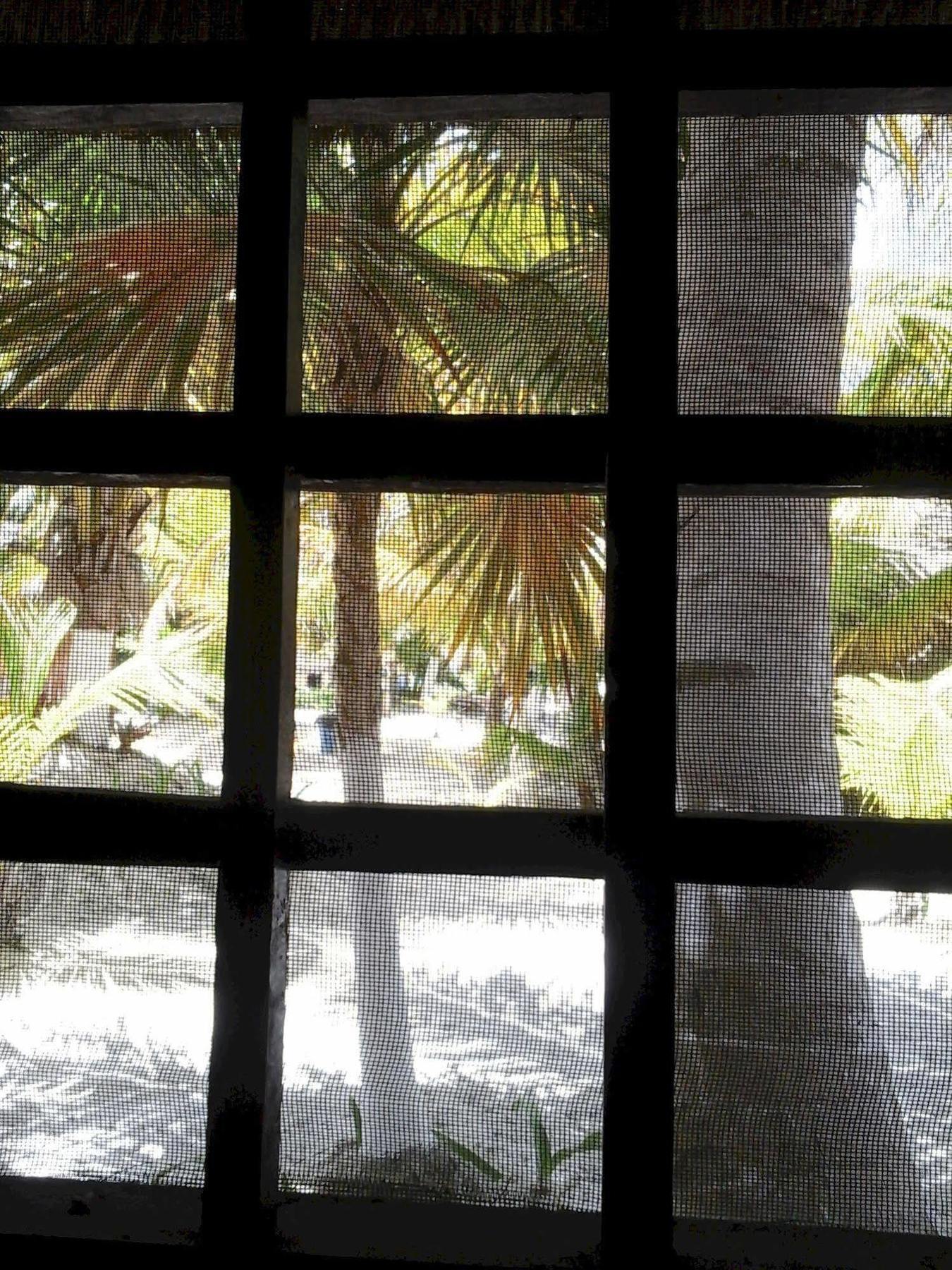 Hotel Zazil Kin Tulum Zewnętrze zdjęcie